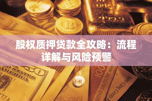 北京股权质押贷款全攻略：流程详解与风险预警