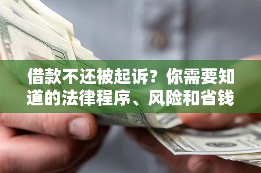 北京借款不还被起诉？你需要知道的法律程序、风险和省钱技巧